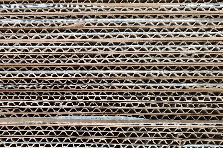cardboard